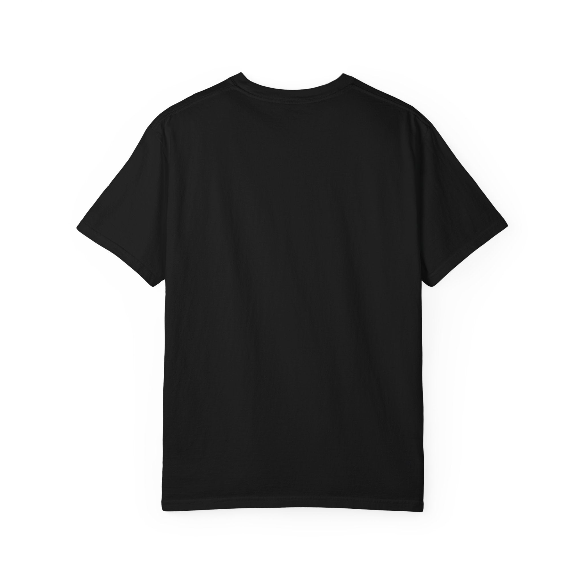 Plow Daddies snowplow graphic T-Shirt | Bringing the Heat to the Sleet