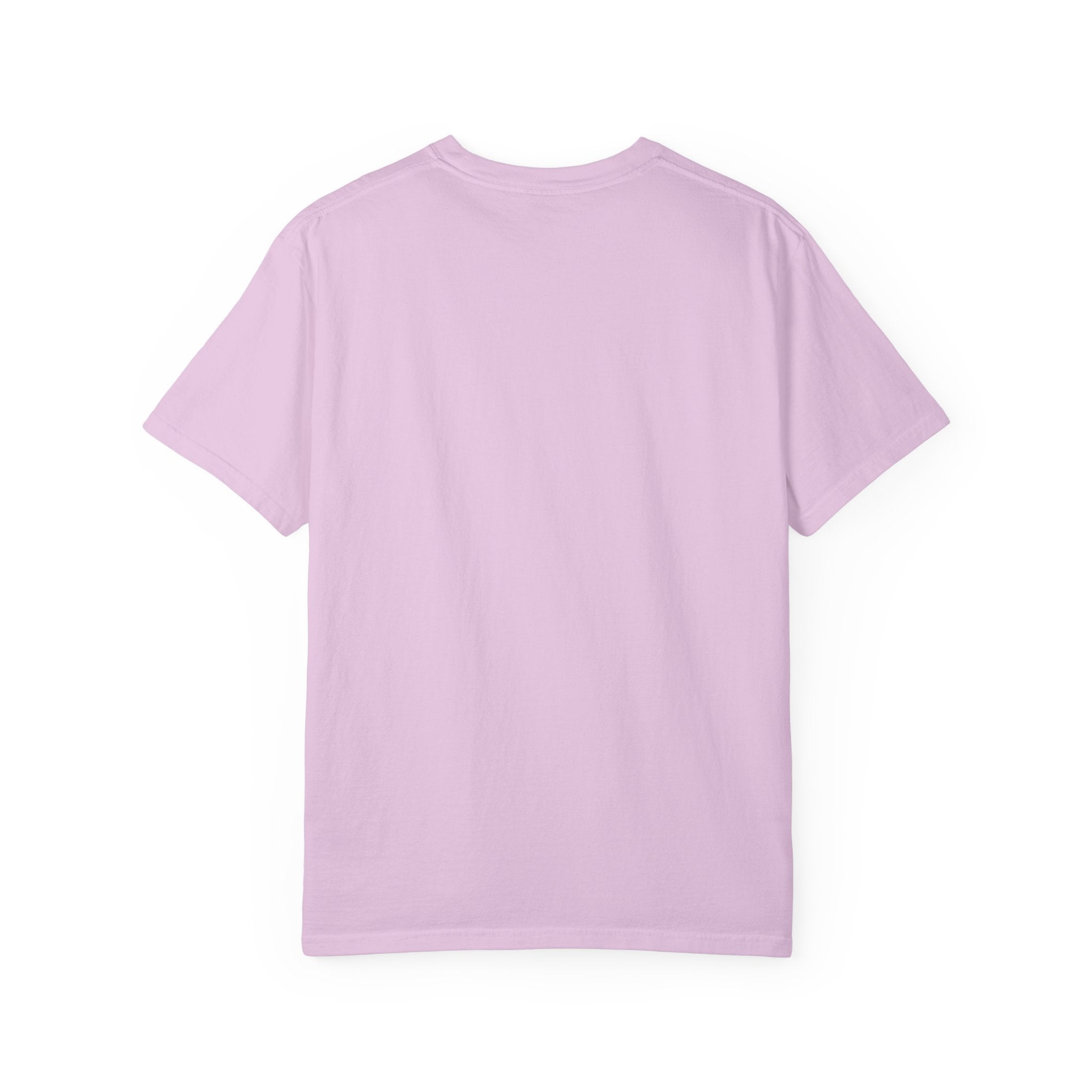 Plow Daddies snowplow graphic T-Shirt | Bringing the Heat to the Sleet